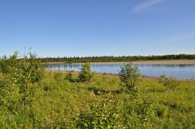 Güneşin altında sessiz Kuzey Nehri. 