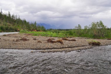 Dağ nehir Putorana plato üzerinde. 