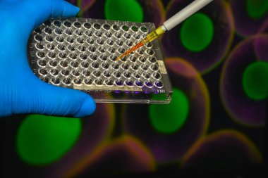 Hücre Araştırması. 