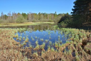 İlkbaharın başlarında nehir manzarası.