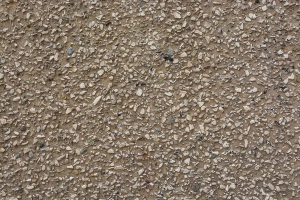The texture of the concrete wall. Stock Picture
