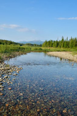 Kuzey milli parkta yaz nehir manzara. 