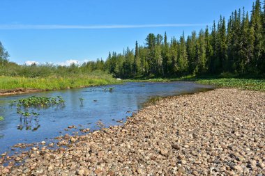 Kuzey milli parkta yaz nehir manzara. 