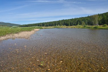 Kuzey milli parkta yaz nehir manzara. 
