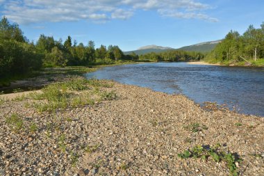 Kuzey milli parkta yaz nehir manzara. 