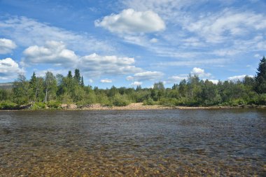 Kuzey milli parkta yaz nehir manzara. 