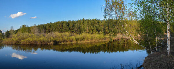 Panorama of the spring forest river. 