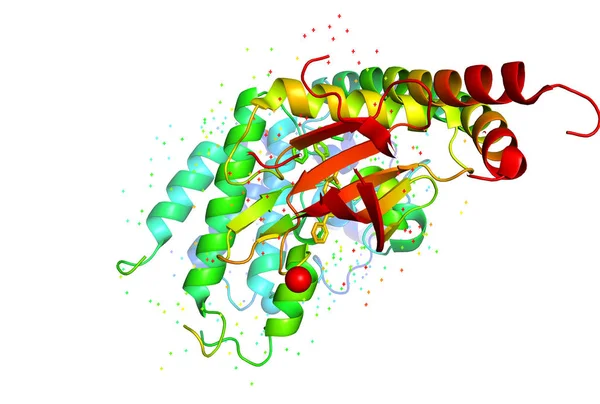 Trojrozměrná krystalová struktura molekuly bílkovin, nádor g — Stock fotografie