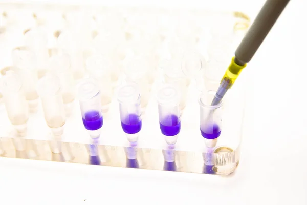 Adding a biological sample pipette. — Stock Photo, Image