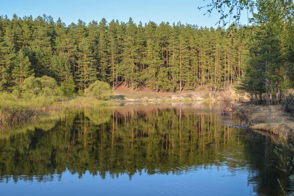 Spring River in het Nationaal Park "Meshersky", Ryazan region. — Stockfoto