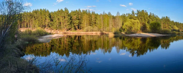 Panorama del río bosque de primavera . —  Fotos de Stock