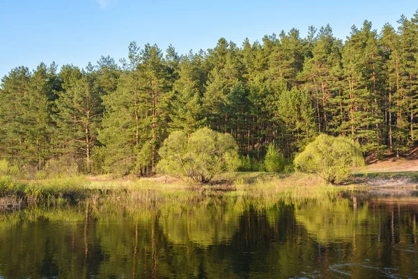 Spring River in het Nationaal Park "Meshersky", Ryazan region. — Stockfoto