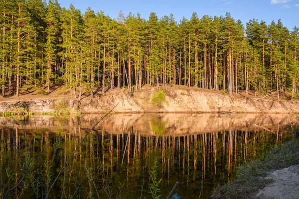 Spring River in het Nationaal Park "Meshersky", Ryazan region. — Stockfoto