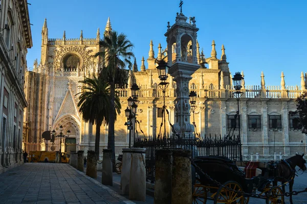 Sevilla Katedrali. — Stok fotoğraf