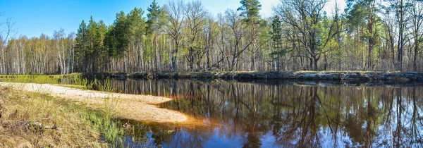Panorama of the spring forest river. — Stock Photo, Image