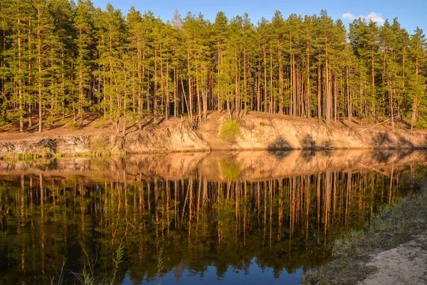 Spring River in het Nationaal Park "Meshersky", Ryazan region. — Stockfoto