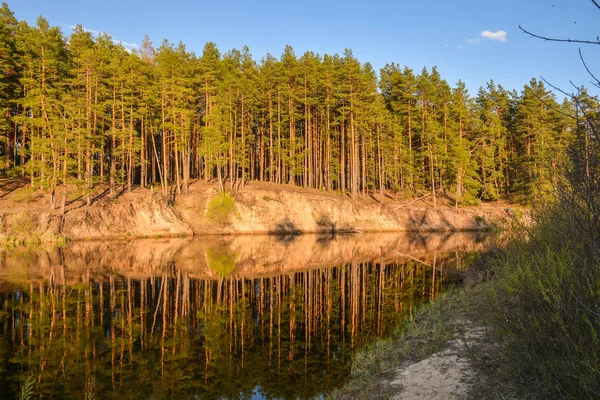 Spring River in het Nationaal Park "Meshersky", Ryazan region. — Stockfoto