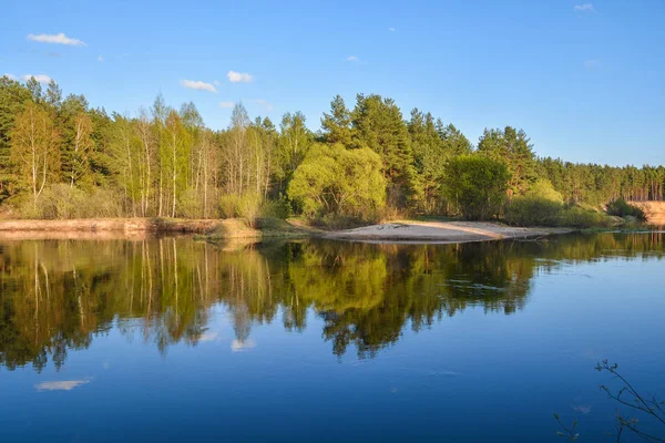 Spring River in het Nationaal Park "Meshersky", Ryazan region. — Stockfoto