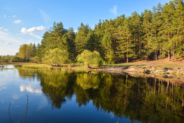Весенняя река в национальном парке "Мешерский", Рязанская область
.