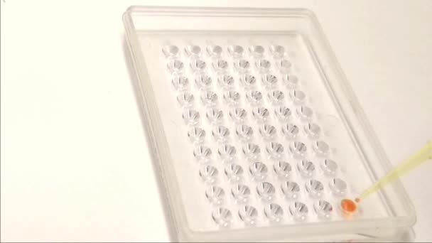 Laboratory Pipette Sample Well Plate — Stock Video