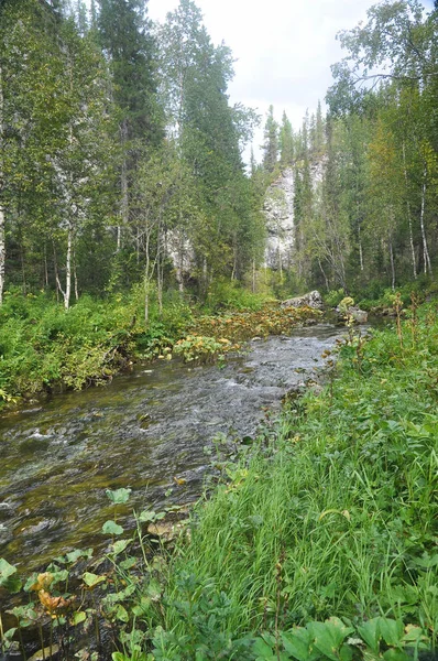 Brook parmi les rochers dans le parc national Yugyd VA . — Photo