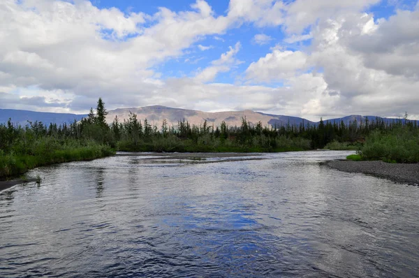 River in mountain taiga. — Stock Photo, Image