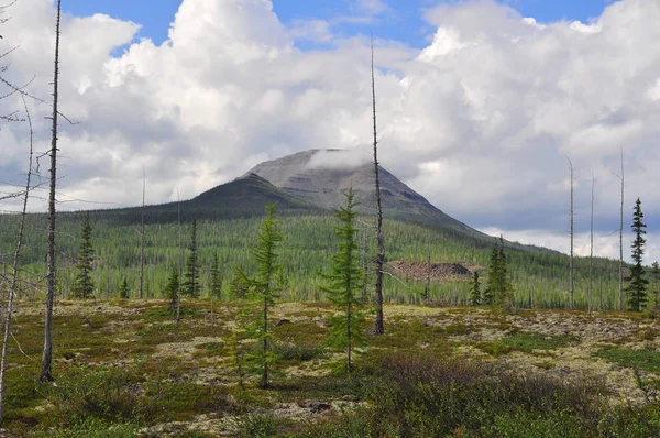 Tundra di kaki bukit Putorana. . — Stok Foto