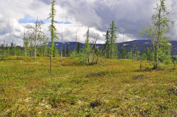 Tundra in den Ausläufern der Putorana-Hochebene. — Stockfoto