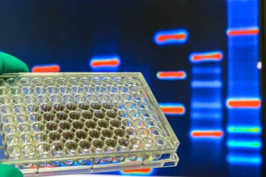 Laboratuvar genetik çalışmaları. 