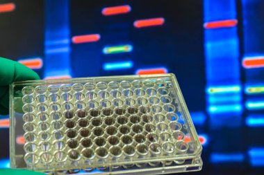 Laboratuvar genetik çalışmaları. 