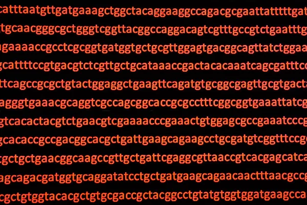 Sequenziamento del genoma . — Foto Stock