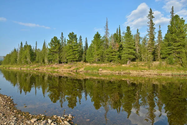 Sommer-Flusslandschaft im Nationalpark "yugyd va". — Stockfoto