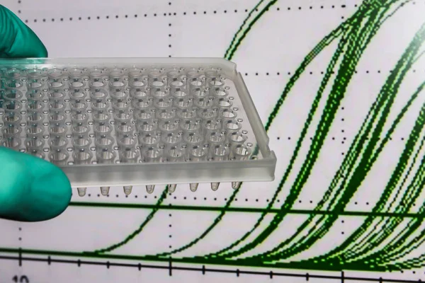 Realización de PCR en tiempo real . — Foto de Stock