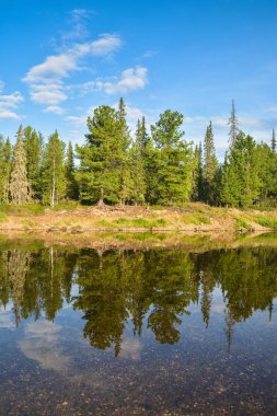Bir yaz gününde Kuzey Nehri.