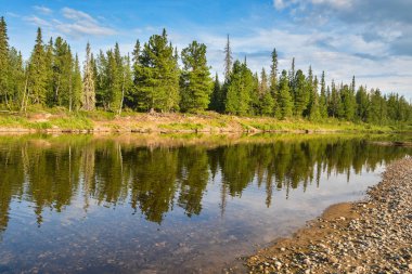 Bir yaz gününde Kuzey Nehri.