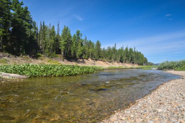 Bir yaz gününde Kuzey Nehri.