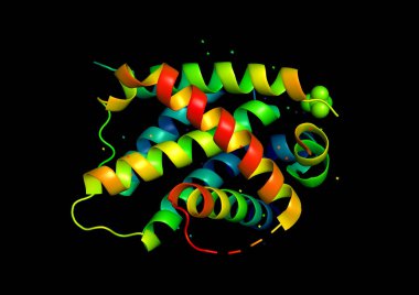Protein molekülünün 3boyutlu yapısı. 
