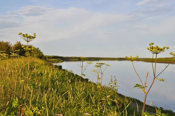 Expanses of river. — Stock Photo, Image