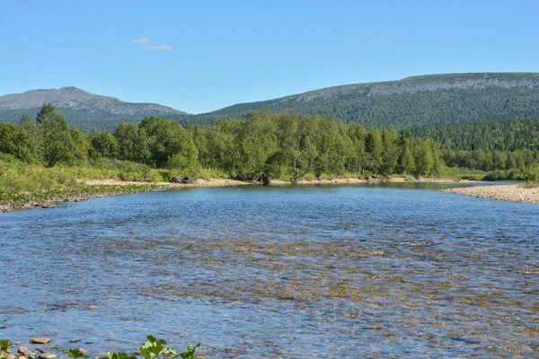 Bir yaz gününde Kuzey Nehri.