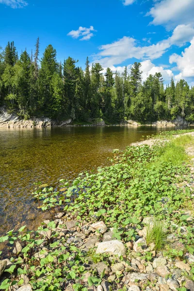 Nordfluss an einem Sommertag. — Stockfoto