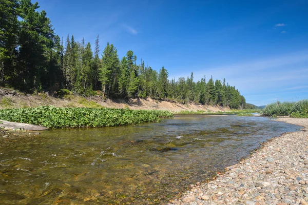 Bir yaz gününde Kuzey Nehri.