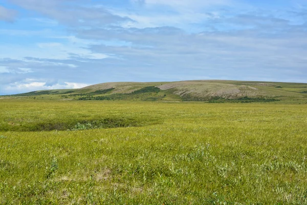 Yamal tundra. 