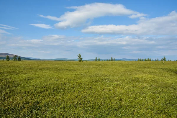 Yamal tundra. 