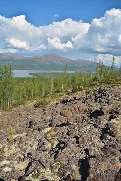 Bergtaiga auf dem Putorana-Plateau. — Stockfoto