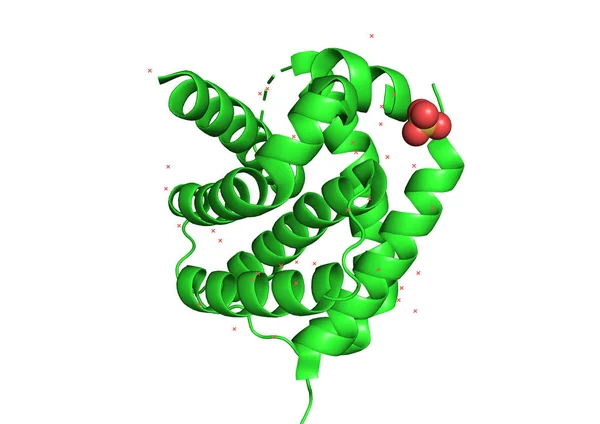 3D-structuur van het eiwit molecuul. — Stockfoto