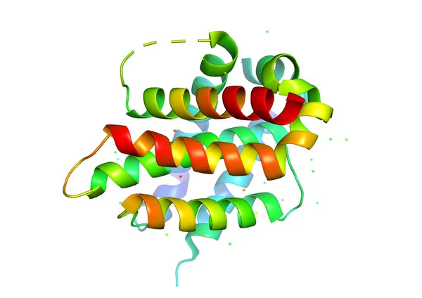 3D-Struktur des Proteinmoleküls. — Stockfoto