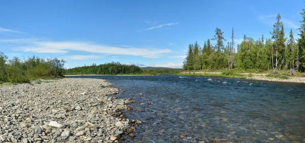 Panorama del fiume taiga negli Urali Polari . — Foto Stock
