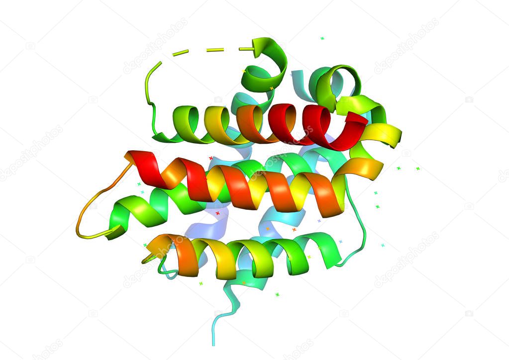 3d structure of the protein molecule. 