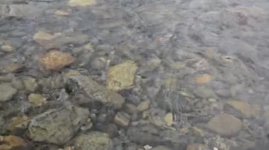 Akan suyun videosu. Kuzey nehrinin temiz suyu.