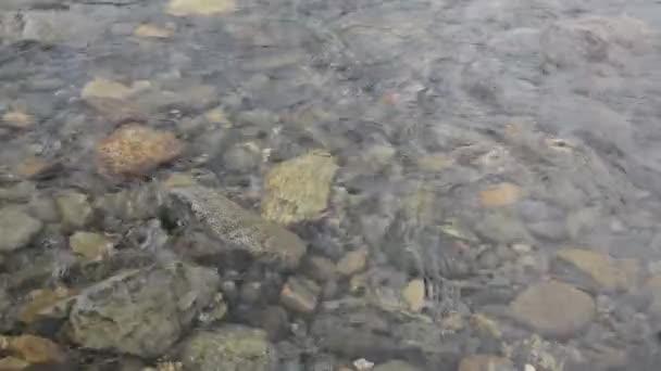 Video Flowing Water Clean Water Northern River — Stock Video